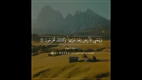 فَسِبّحُانَ الُلُُه حُيَنَ تْمٌسِوَنَ وَحُيَنَ تْصّبّحُوَنَ #سورة الروم