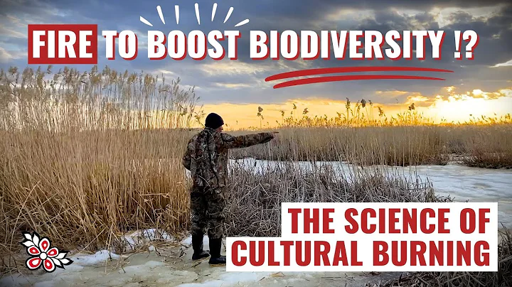 Fire to Boost Biodiversity!? The science of Cultural Burning