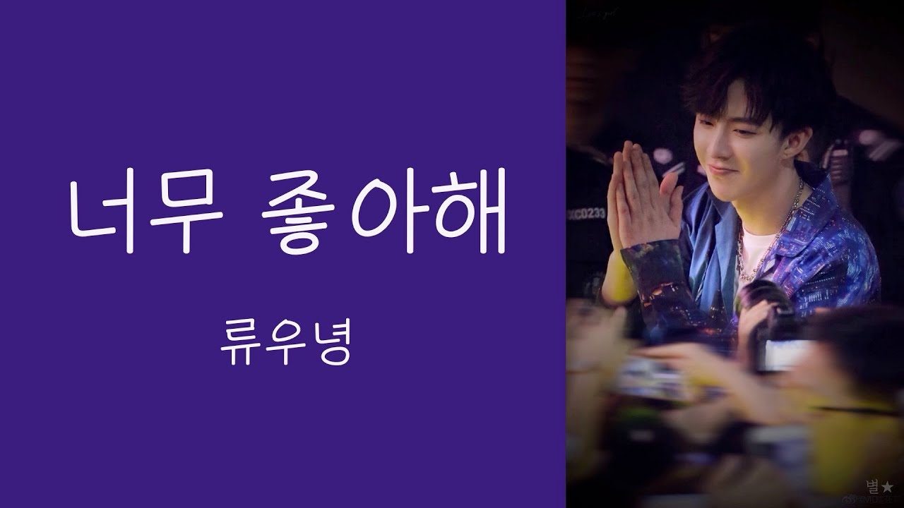 [노배중] 고막남친 류우녕의 고막을 간지럽히는 노래 | 너무 좋아해 - 류우녕(한자,병음,발음,해석)