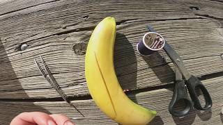 Banana Suturing 101 Final