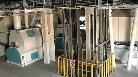 Second layer structure of 20t/h Feed Pellet Line   Email: toppelletmachine@gmail.com