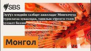 Эрүүл мэндийн салбарт ажилладаг Монголчууд туршлагаа хуваалцаж, танилын хүрээгээ тэлэх уулзалт...