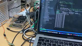 Jetson nano: gpio test - simple_input.py