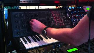 Korg MS-20 Basic snare drum sound