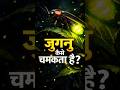 "जुगनू कैसे चमकता है?"#shorts #viral #science #jugnu #hindifacts #knowledge #didyouknow#education