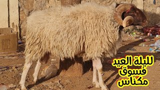 لليلة العيد مالقاوش ناس حوالى فسوق مكناس صوريا 2026/5/26 حولي مفقود 