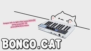 Bongo.cat Got Updated