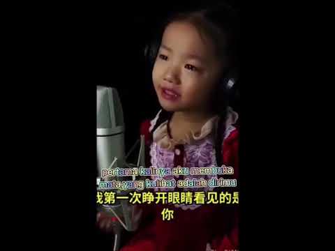 lagu mandarin paling sedih mama wo xiang ni
