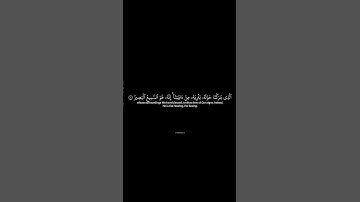 تلاتة ياسر الدوسري سورة الاسراء