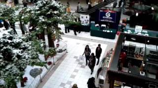 Google Nexus S Sample Video