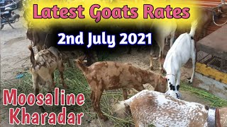 Fish Video |Latest Goats Rates in Moosa Lane Kharadar Karachi بکروں کے ریٹ موسی لین کھارادر