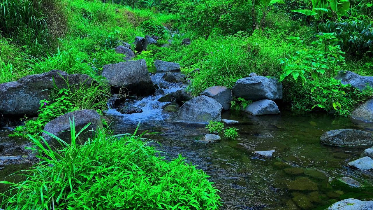 Peaceful Mountain Stream Sounds | Relaxing Flowing Water & White Noise for Sleep