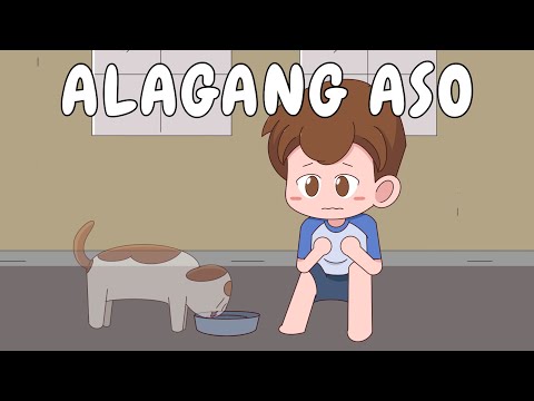 Video: Paano nanonood ng tv ang aking aso?