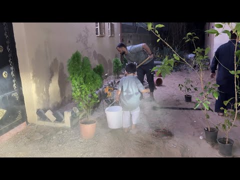 شجرنا واجهة البيت