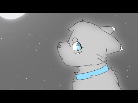 Rät (warriors oc animatic)