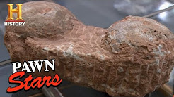 Pawn Stars: Dinosaur Eggs | History