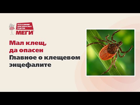 Симптомы клещевого энцефалита