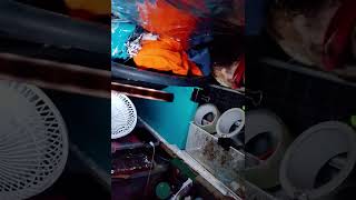 Van Life. Age 73.