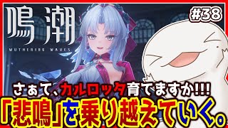【 #鳴潮 】オオサンショウウオ「漂泊者」になる #38 【両生類系人外VTuber/半崎ウイネコ】【 #WutheringWaves 】