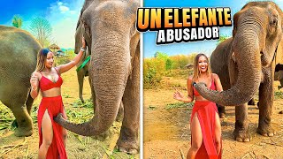 OMG 😱 Elefante se enamora de mi y esto pasó 😳 | Chiang Mai Tailandia 2024