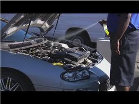 HOW TO CLEAN YOUR ENGINE BAY !!! EASY TUTORIAL ! 