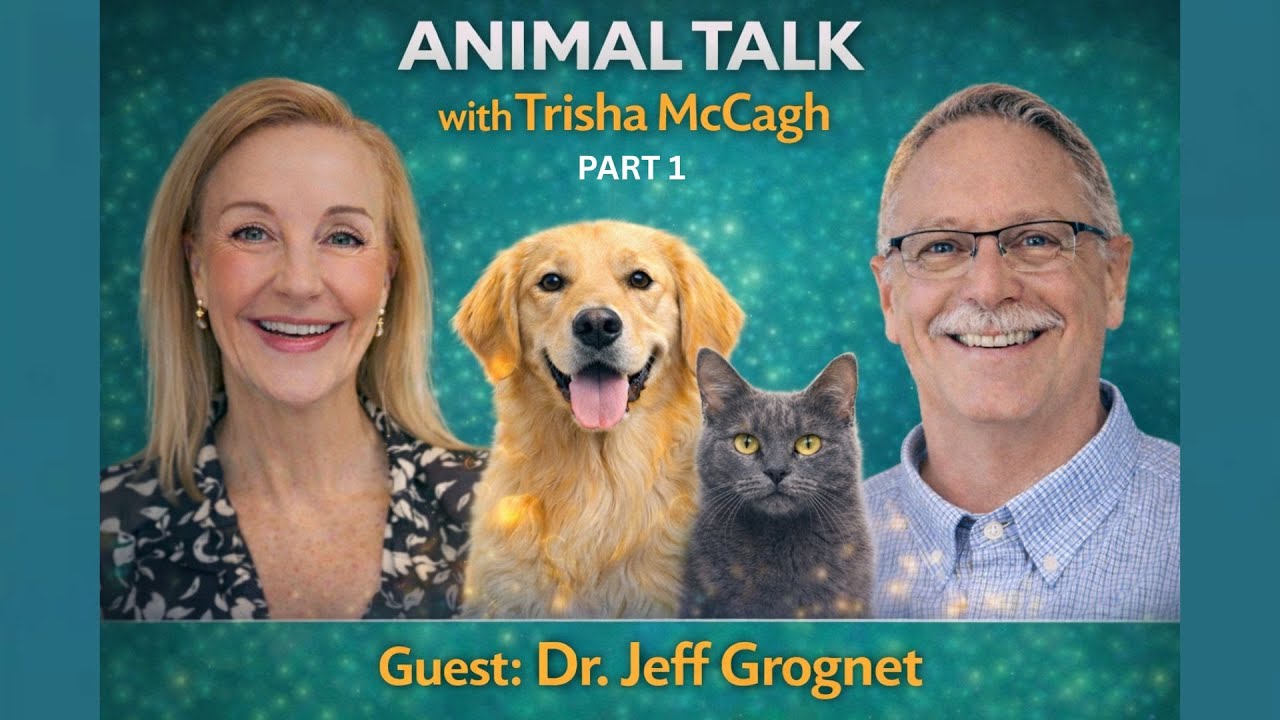 Prevention Over Pills - Rethinking Pet Health