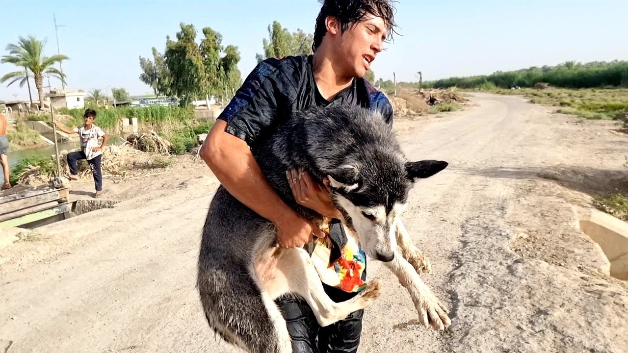 اخذت لوسي لشط_طلعت ماتعرف تسبح صدمتني