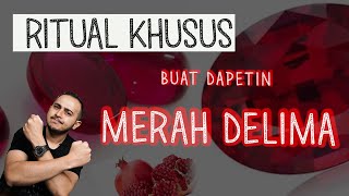 Download Lagu MITOS BATU MERAH DELIMA! || Adam Harits, G.G MP3