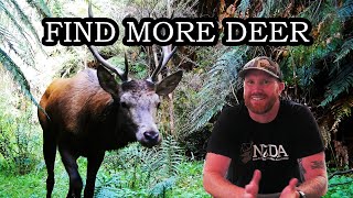Red Deer Don't Disappear - They Move | How to Hunt Red Deer by Season