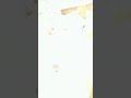 يا قصة الليلة رح احكي وانتو غنوا افخم غرفت عرسان وافخم جهاز الف مبروك 