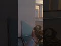 First Blood Challenge: Can I get the First Kill in Black Ops 6?#shorts #short #callofduty