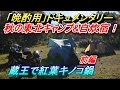 【晩酌用】秋の東北キャンプ&自炊宿ツーリング。[前編]蔵王で紅葉キノコ鍋♪