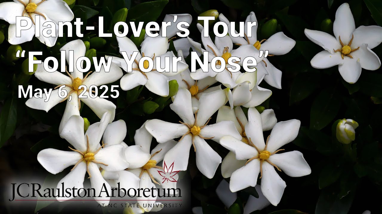 Plant-Lover’s Tour - “Follow Your Nose”