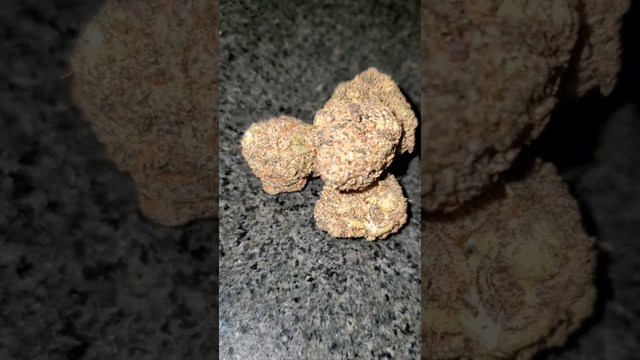 Black Cherry Gushers x Apple Fritter