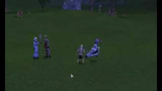 Lustiger Bug