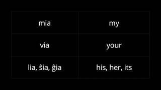 Esperanto 101: Adverbs and Pronouns
