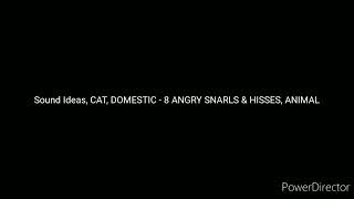Sound Ideas, Cat, Domestic - 8 Angry Snarls & Hisses, Animal