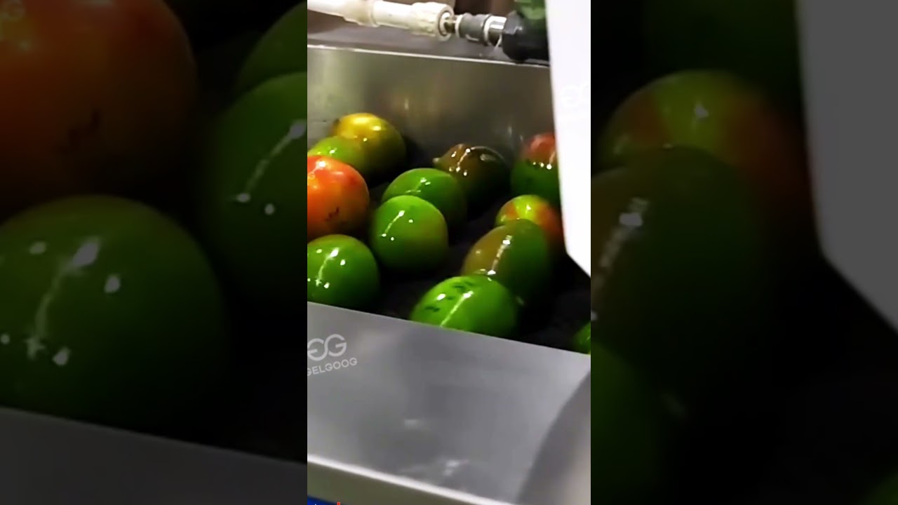 Mango Cleaning, Processing and Freezing Production Line