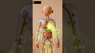 Daun Singkong: Energi Alami untuk Tubuh Lebih Bertenaga #claymation #animasi3d
