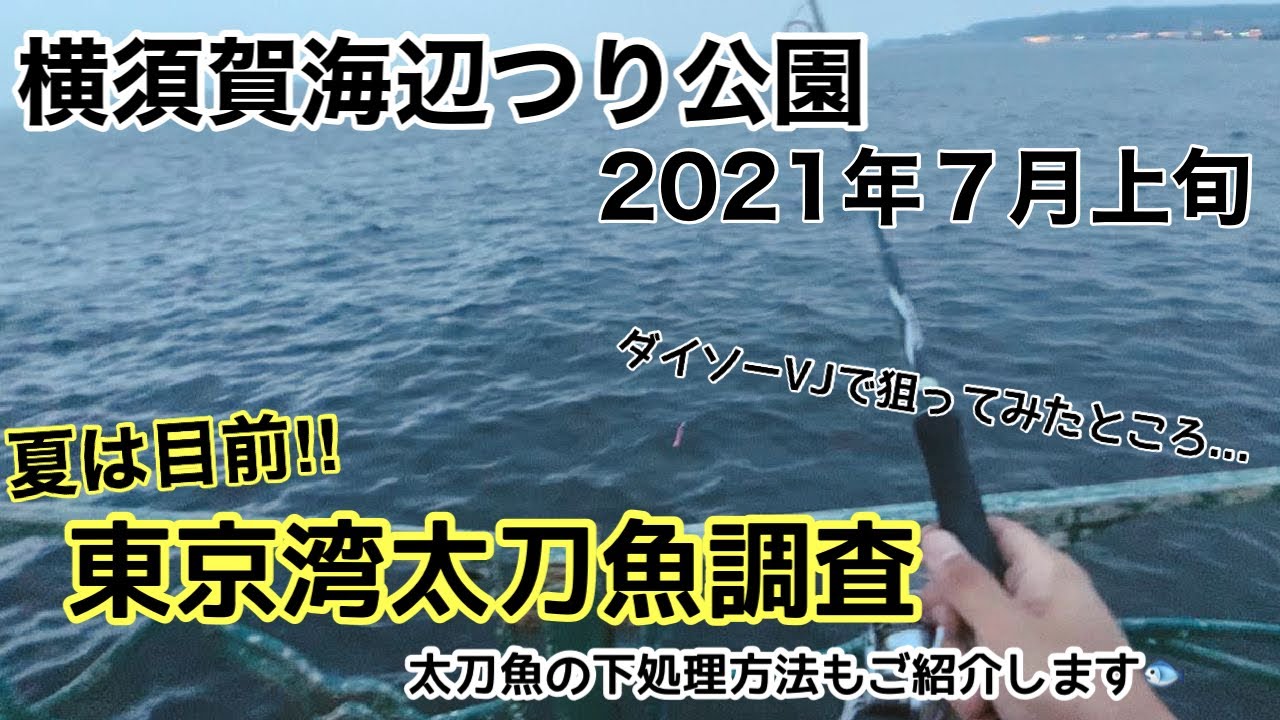 釣行 03 横須賀 海辺つり公園 21年７月上旬 夏前の東京湾 太刀魚調査 Youtube