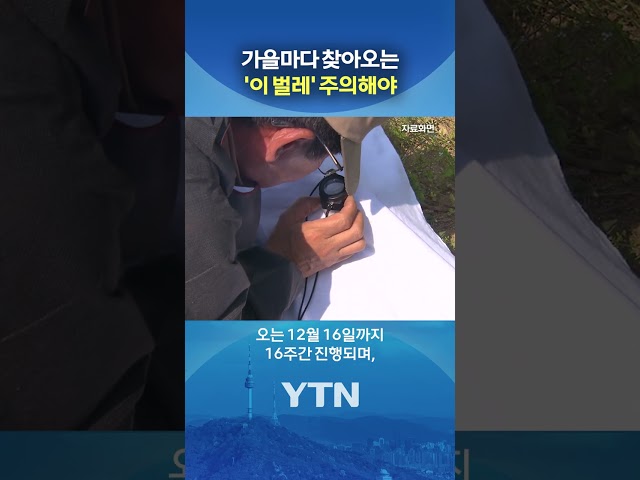 가을철 야외활동 '이것' 조심 #shorts / YTN