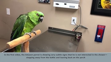 Importance of Body Language