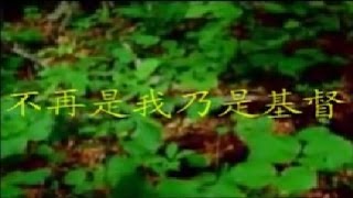 14 不再是我，乃是基督