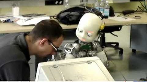 iCub Attention video