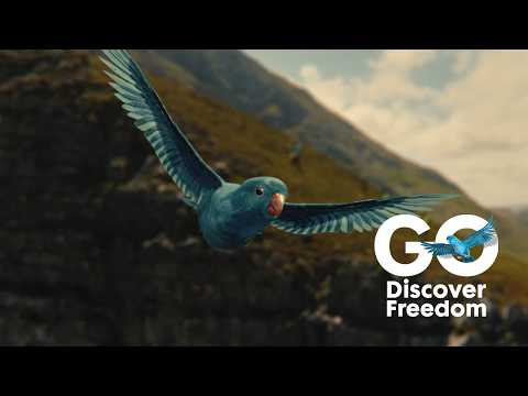 GO Outdoors TV Ad - Discover Freedom