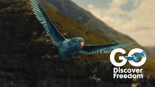 GO Outdoors TV Ad - Discover Freedom