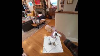 Gaussian Splatting in #XR - #Quest 3 #shorts
