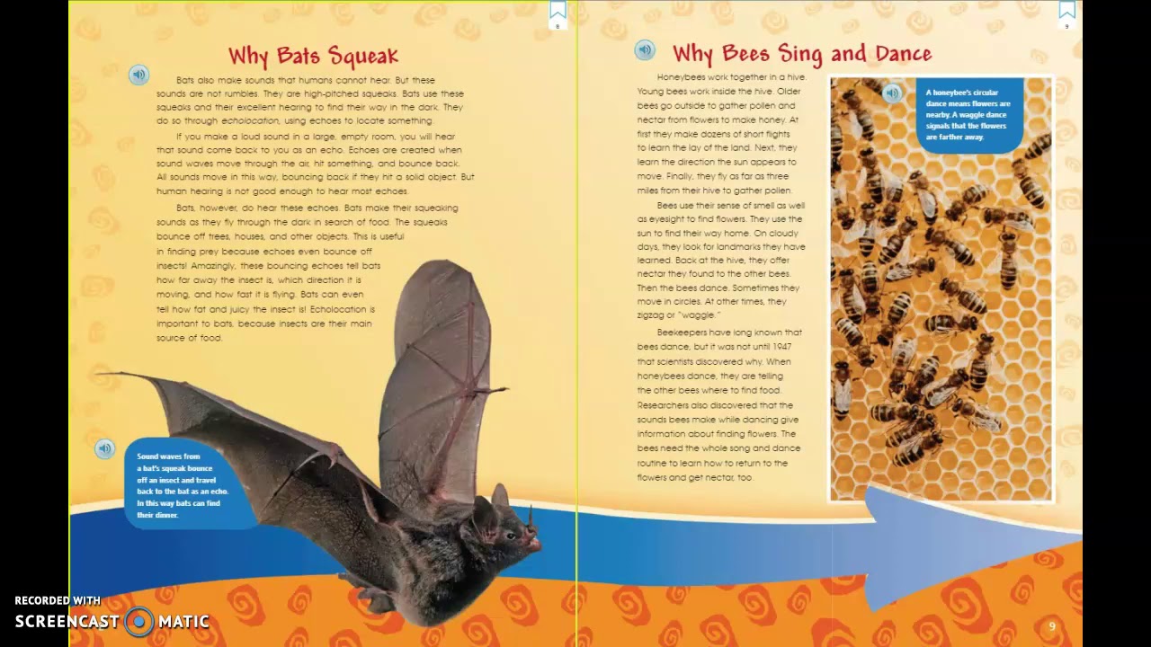 Lesson 26 Animals on the Move - YouTube