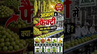 आमला से फैक्ट्री में क्या-क्या बनता है? 🤔 | Amla Processing Factory #Shorts