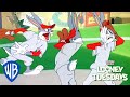 Looney Tuesdays | Looney Olympics | Looney Tunes | WB Kids
